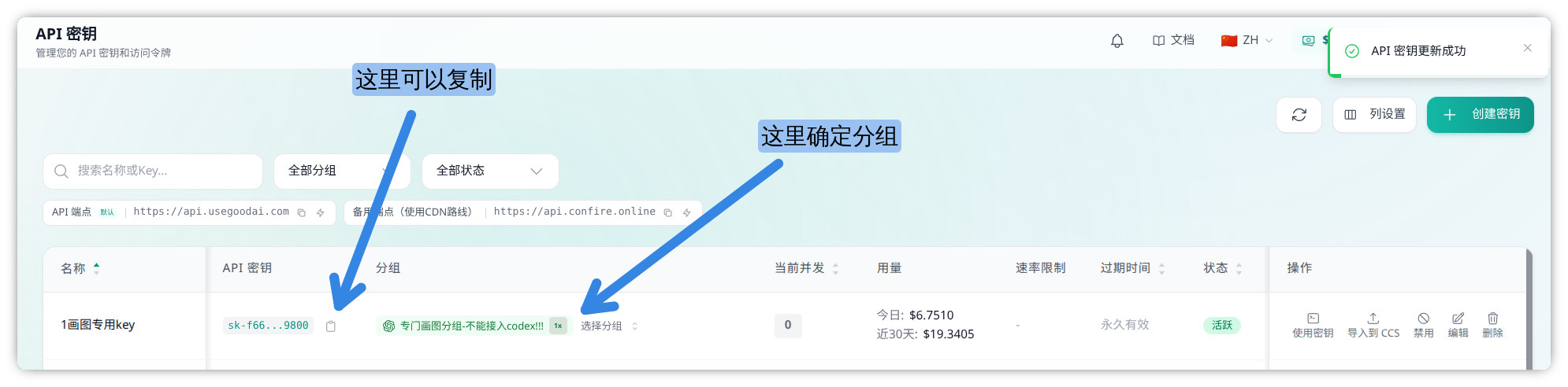 在 API 密钥页面核对专门画图分组并复制画图专用 API Key